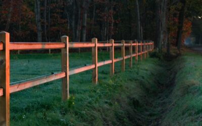 Waarom HSP’s moeite hebben met grenzen aangeven