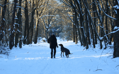 Gevoelens van anderen overnemen als HSP: van thermometer naar thermostaat