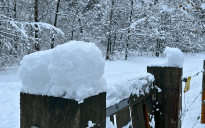 Waarom grenzen stellen je als HSP juist meer overprikkeld kan maken